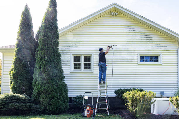 Local Pressure Washing Services in Clarksville, IN