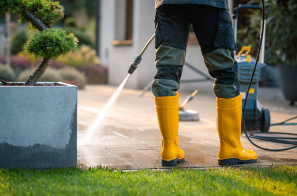 Best Exterior Home Cleaning  in Clarksville, IN